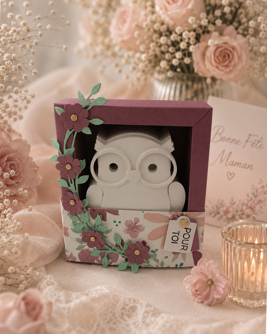 Coffret Hiboux Lumineux - Unique